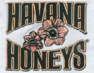 Embroidery Digitizing